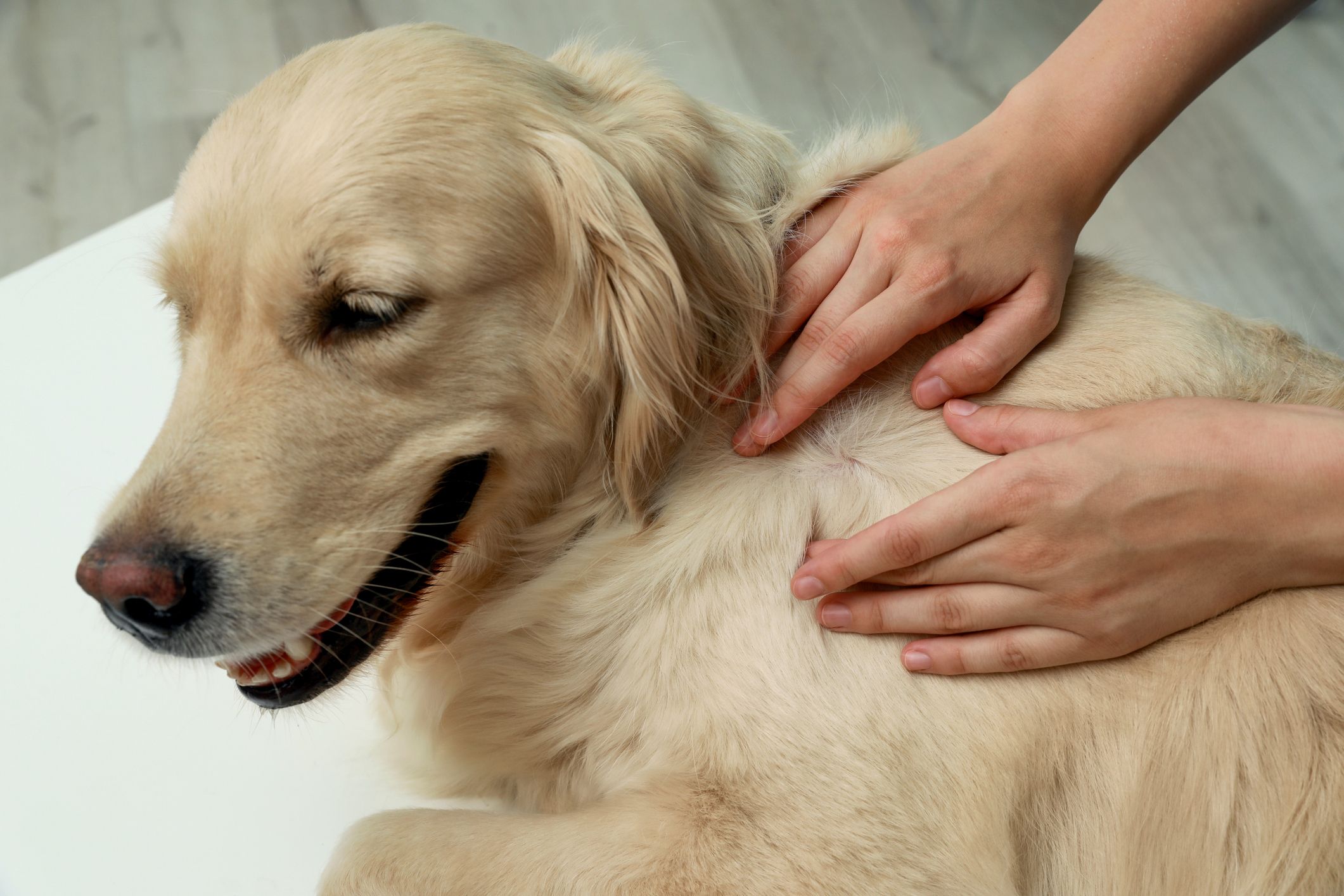 Taking the bite out of tick bites
