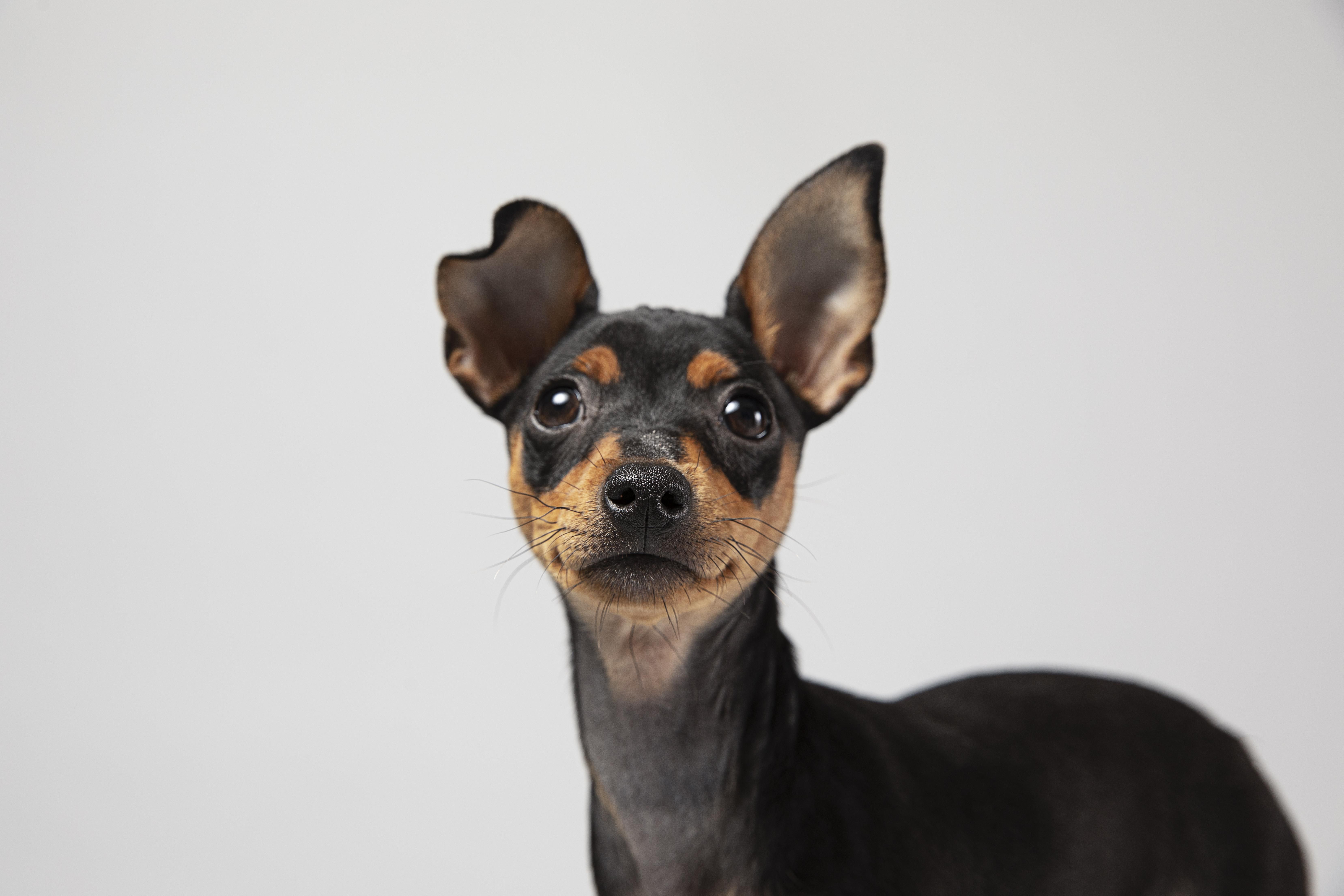 Hear us on ear infections 