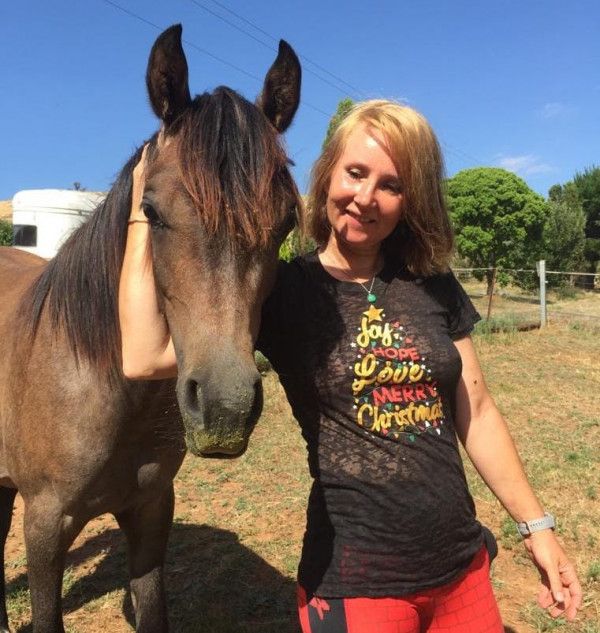Sarcoid is gone - my horse and I thank you!