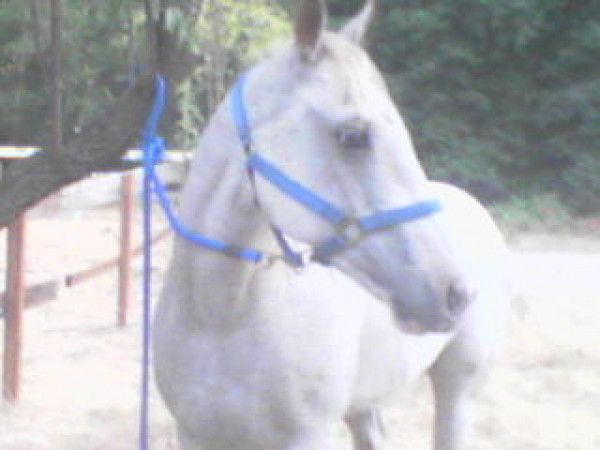 Trigger's miraculous recovery from Squamous Cell Carcinoma