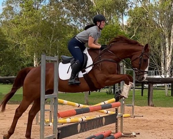 Horse isn't lame anymore!