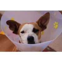 The spots that are "HOT"