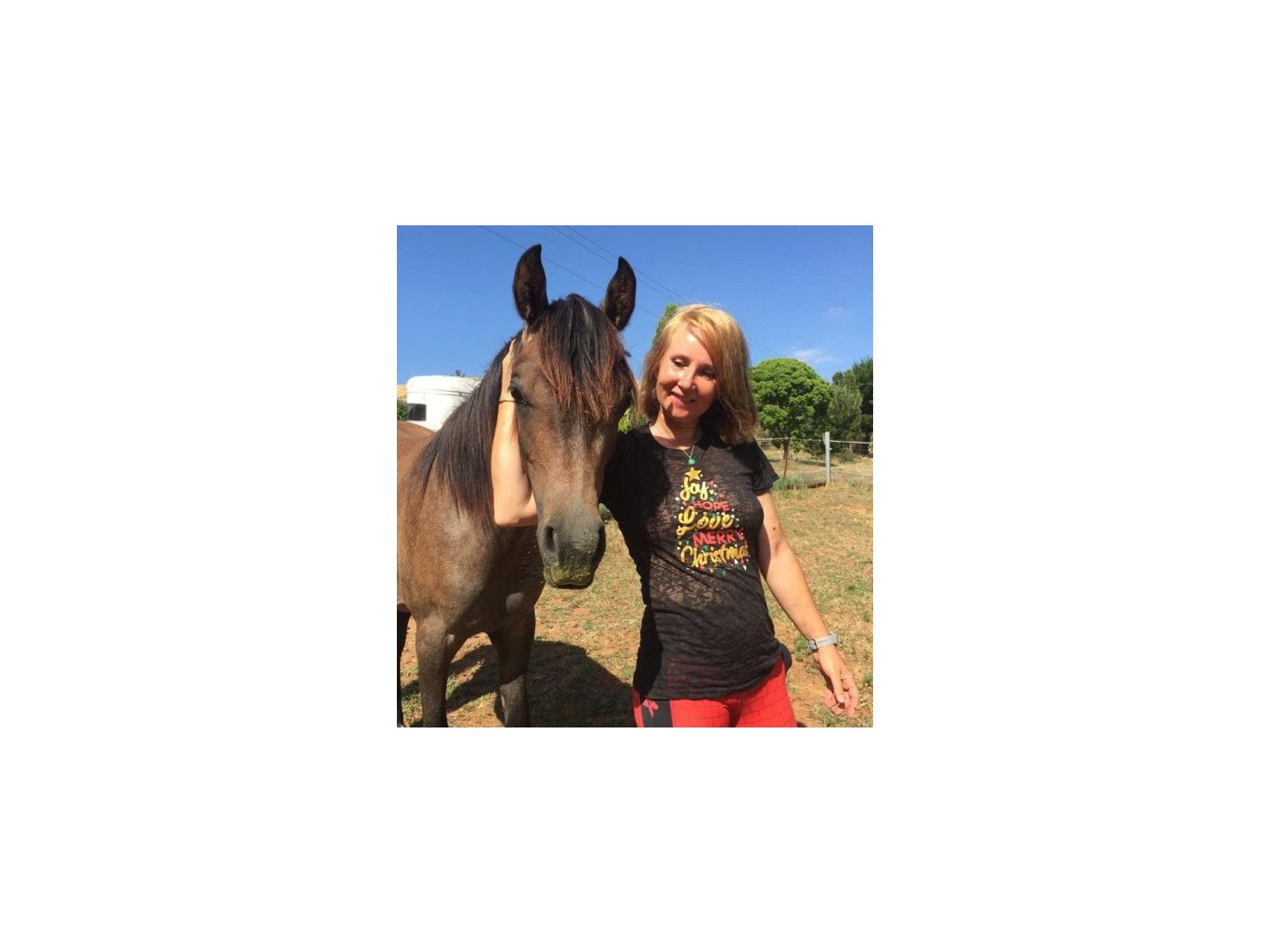 Sarcoid is gone - my horse and I thank you!