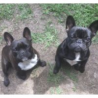 I would always recommend you!