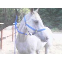 Trigger's miraculous recovery from Squamous Cell Carcinoma