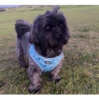 McDowells miracle product for liver