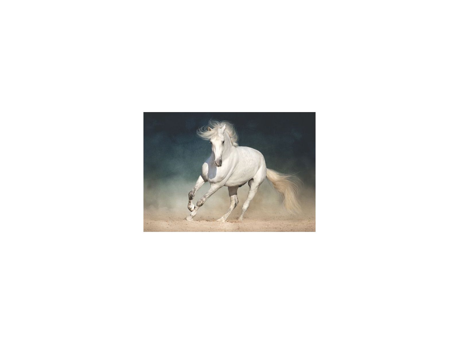 Understanding equine oedema and inflammation