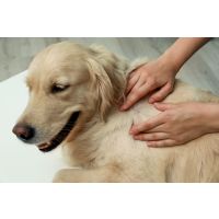 Taking the bite out of tick bites