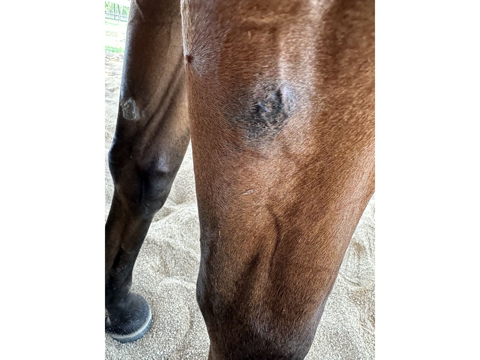 Harry's successful sarcoid treatment