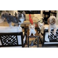 They are roaring around!