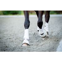 Ringbone in Horses: A holistic approach to bone health