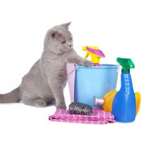Do artificial fragrances and chemicals effect your pets?