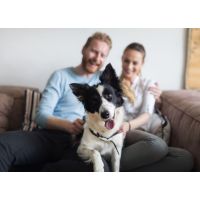 Do we share a microbiome with our pets?