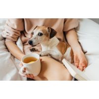 Can I give my pets tea?