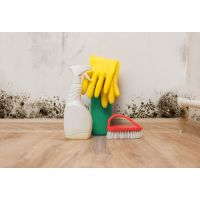 Mould exposure, your health and what you can do