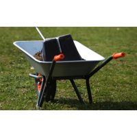  Why over-worming horses does more harm than good