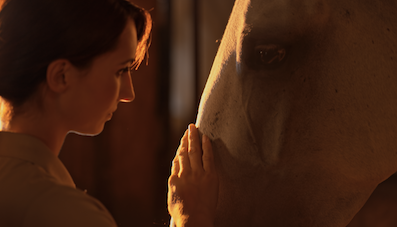 Causes of head shaking in horses and what to do