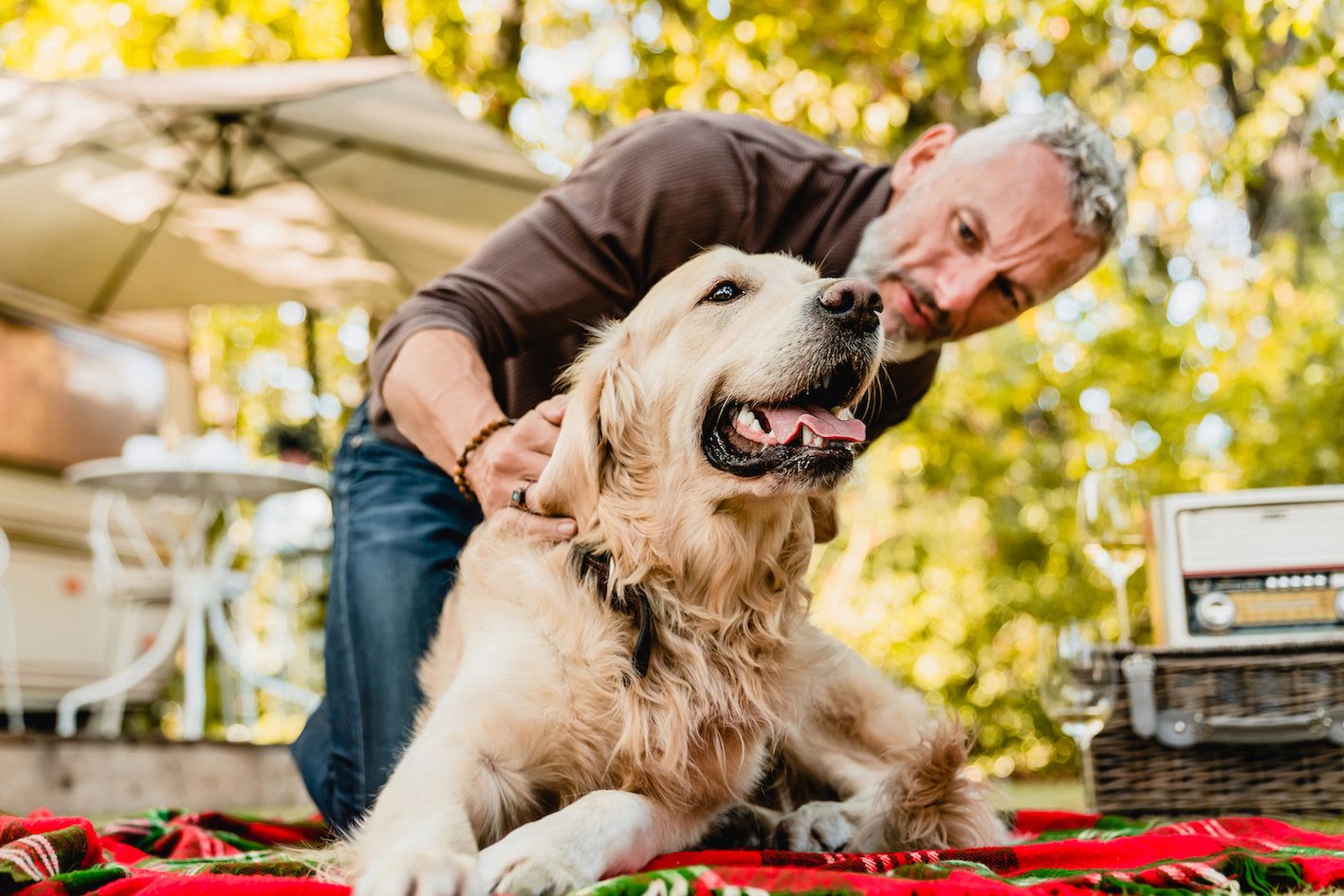 Supporting your dog’s health as they age