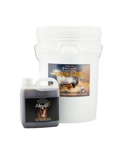 Structural Injury Program