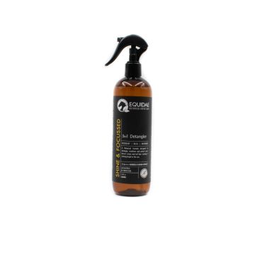 SHINE & FOCUSSED 3in1 Detangler 