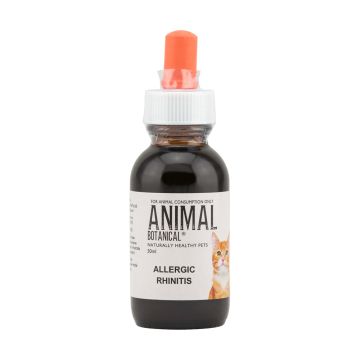 Allergic Rhinitis 