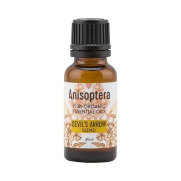 Anisoptera- Devil's Arrow