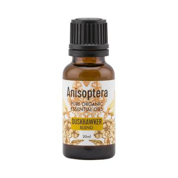 Anisoptera- Duskhawker