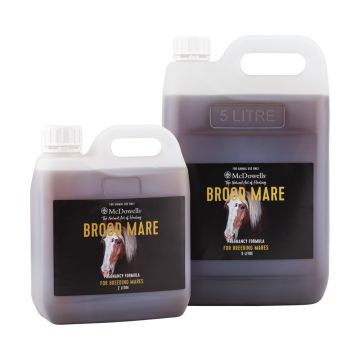 Brood Mare 