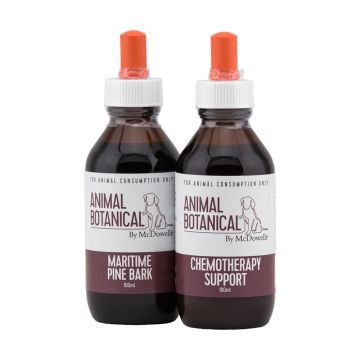Chemotherapy Support Program