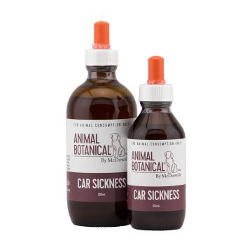 Car Sickness 