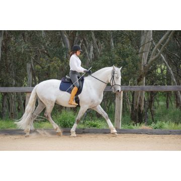 Catherine McDowell Lesson