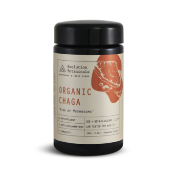 Medicinal Mushroom Chaga