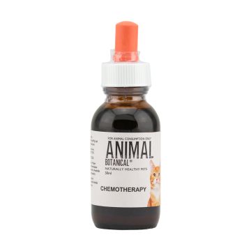 Chemotherapy Support