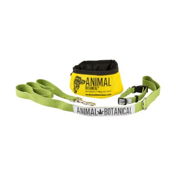 Hemp Collar & Lead Set + Collapsible travel bowl