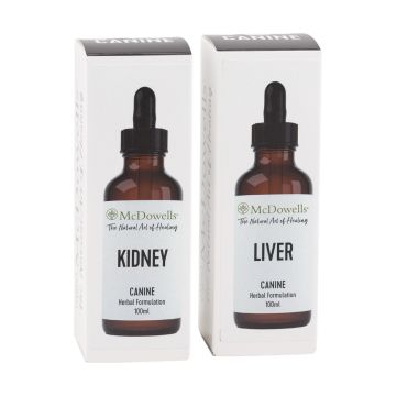 Kidney Program