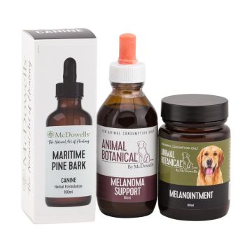 Melanoma Support Program