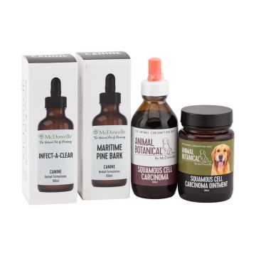 Squamous Cell Carcinoma Program