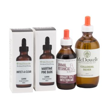 Urinary Tract Infection Program