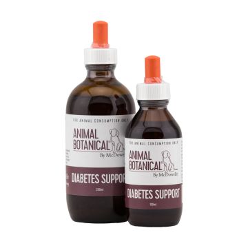 Diabetes Support