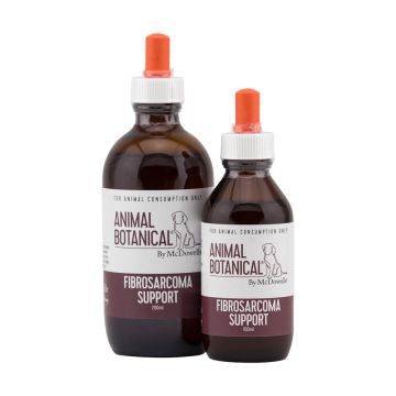 Fibrosarcoma Support