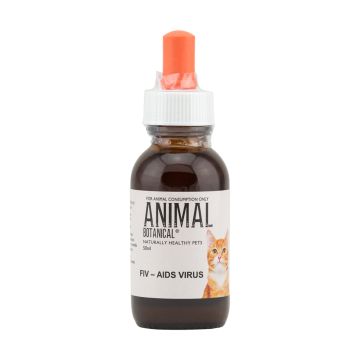Feline immunodeficiency virus (FIV)
