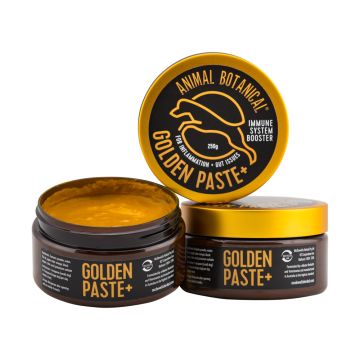 Golden Paste +