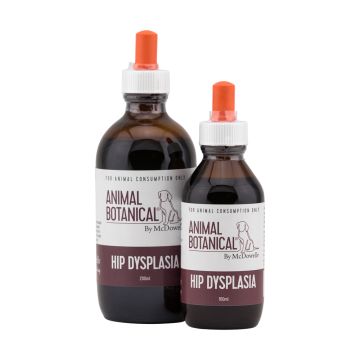 Hip Dysplasia