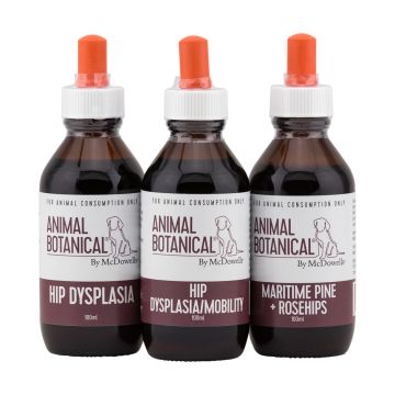 Hip Dysplasia Program