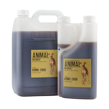 Kennel Cough