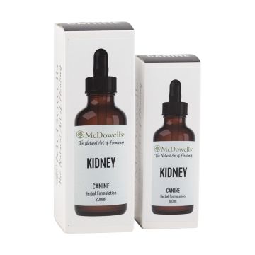 Kidney