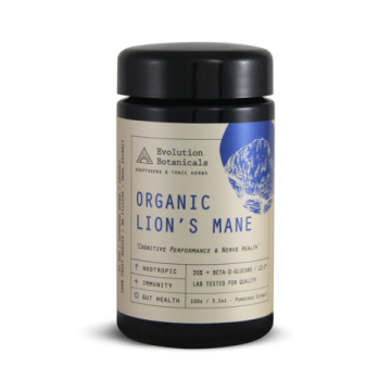 Medicinal Mushroom Lion's Mane