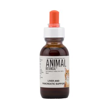 Liver and Pancreatic Support