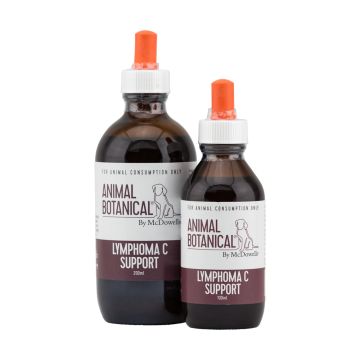 Lymphoma C Support 