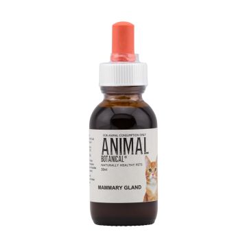 Mammary-Gland Support